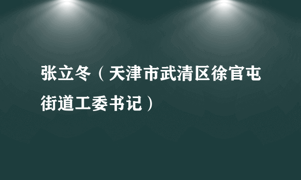 张立冬（天津市武清区徐官屯街道工委书记）