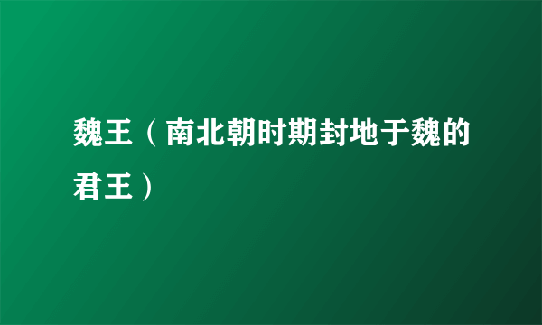 魏王（南北朝时期封地于魏的君王）