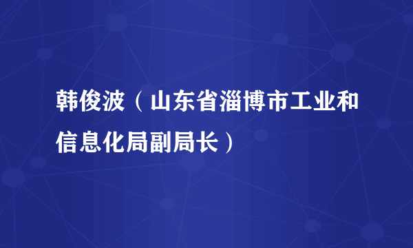 韩俊波（山东省淄博市工业和信息化局副局长）