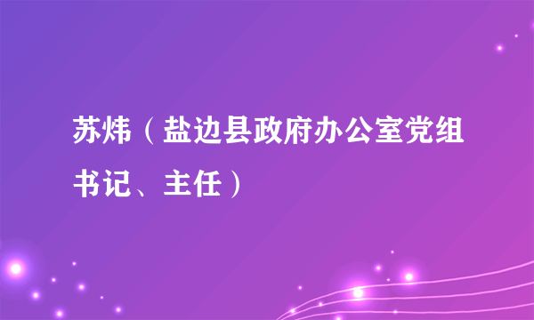 苏炜（盐边县政府办公室党组书记、主任）