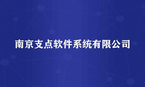 南京支点软件系统有限公司