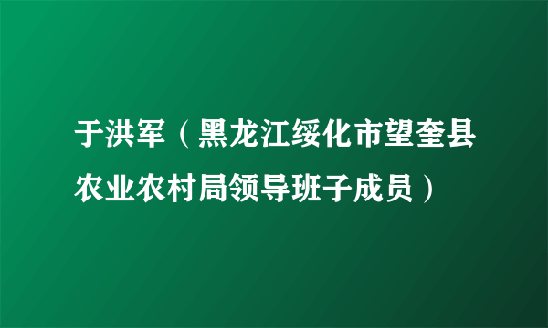 于洪军（黑龙江绥化市望奎县农业农村局领导班子成员）