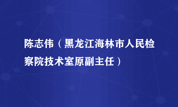 陈志伟（黑龙江海林市人民检察院技术室原副主任）