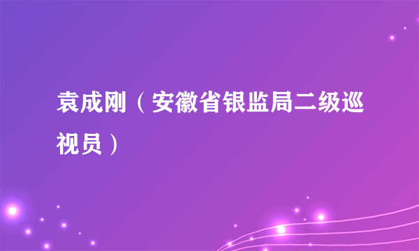 袁成刚（安徽省银监局二级巡视员）