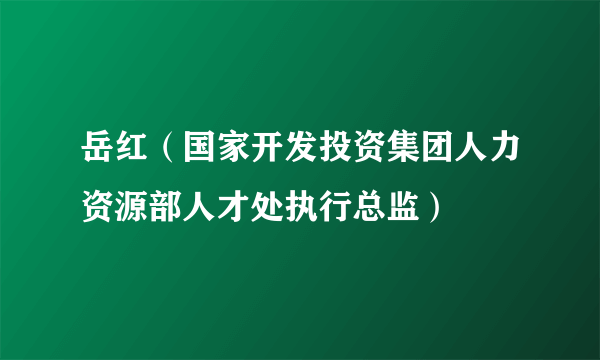 岳红（国家开发投资集团人力资源部人才处执行总监）