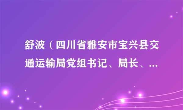 舒波（四川省雅安市宝兴县交通运输局党组书记、局长、县交通综合行政执法大队大队长）