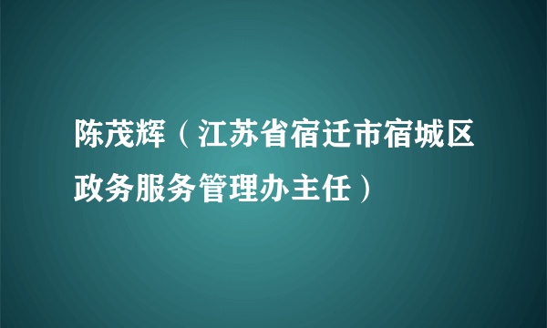 陈茂辉（江苏省宿迁市宿城区政务服务管理办主任）