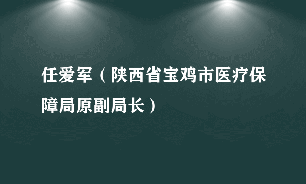 任爱军（陕西省宝鸡市医疗保障局原副局长）