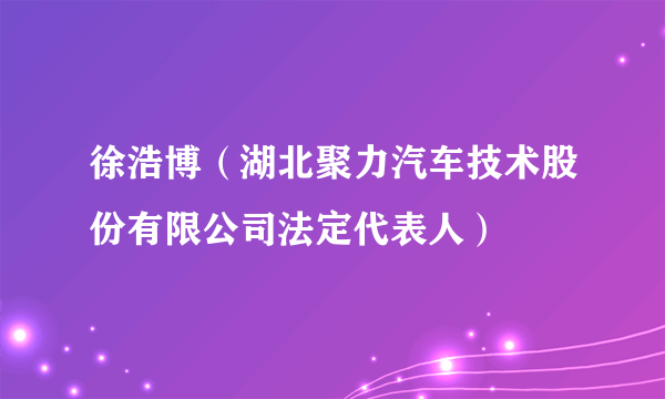 徐浩博（湖北聚力汽车技术股份有限公司法定代表人）