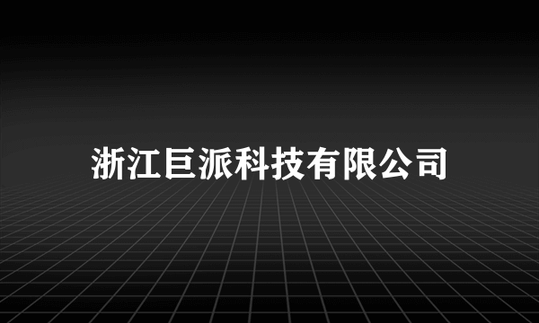 浙江巨派科技有限公司