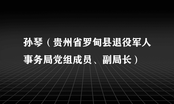 孙琴（贵州省罗甸县退役军人事务局党组成员、副局长）