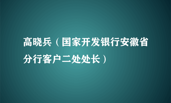 高晓兵（国家开发银行安徽省分行客户二处处长）