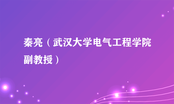 秦亮（武汉大学电气工程学院副教授）