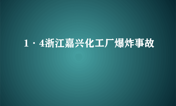 1·4浙江嘉兴化工厂爆炸事故