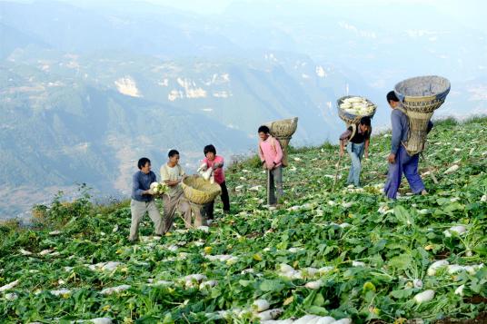 农十师青河农场