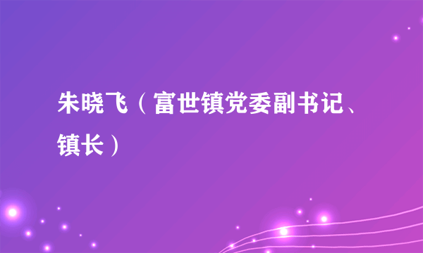 朱晓飞（富世镇党委副书记、镇长）