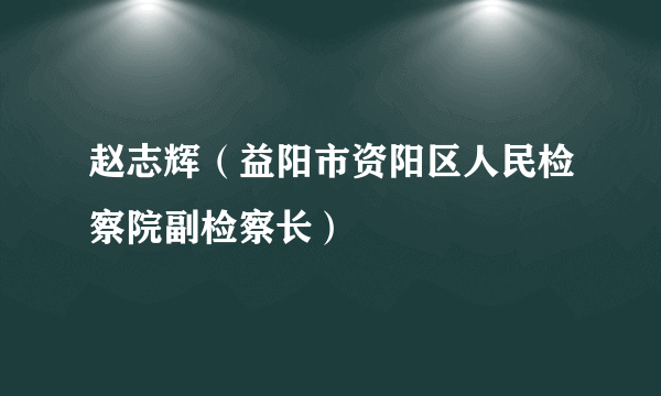 赵志辉（益阳市资阳区人民检察院副检察长）