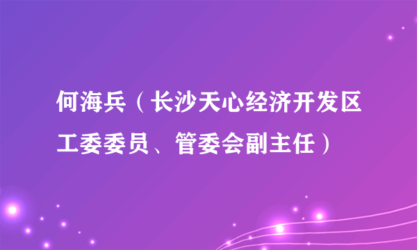 何海兵（长沙天心经济开发区工委委员、管委会副主任）