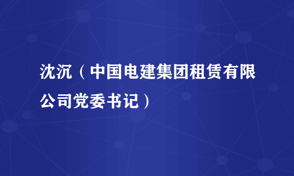 沈沉（中国电建集团租赁有限公司党委书记）