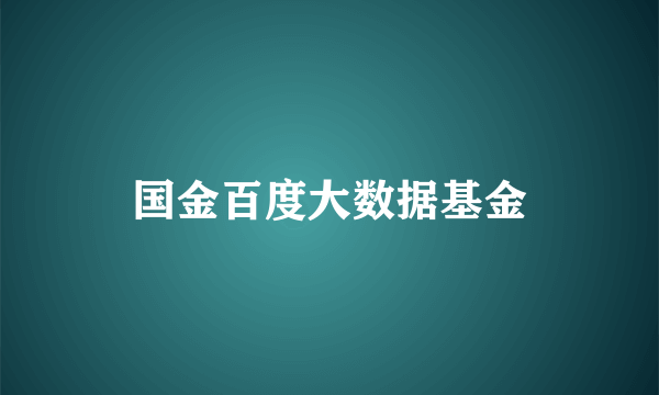 国金百度大数据基金