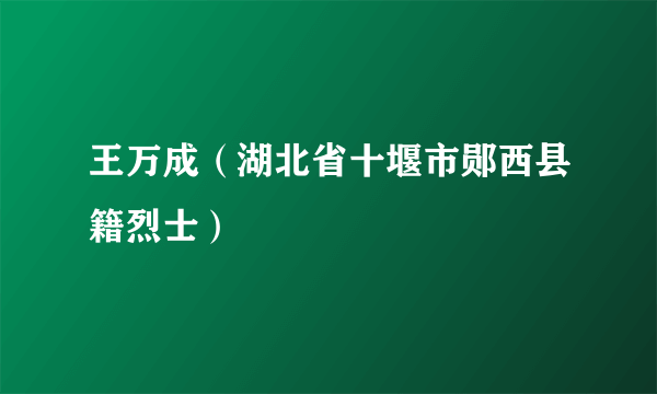 王万成（湖北省十堰市郧西县籍烈士）