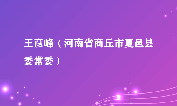 王彦峰（河南省商丘市夏邑县委常委）