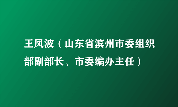 王凤波（山东省滨州市委组织部副部长、市委编办主任）