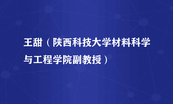 王甜（陕西科技大学材料科学与工程学院副教授）