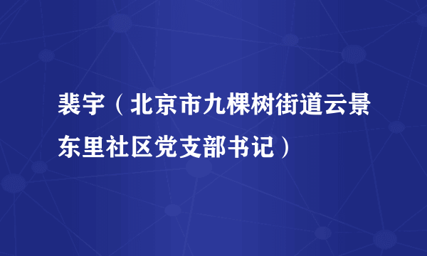 裴宇（北京市九棵树街道云景东里社区党支部书记）