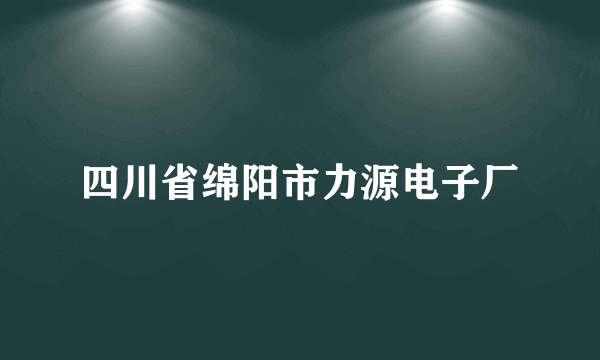 四川省绵阳市力源电子厂