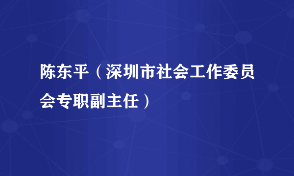 陈东平（深圳市社会工作委员会专职副主任）