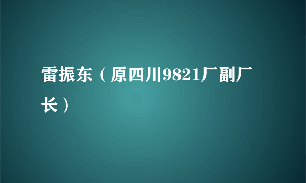 雷振东（原四川9821厂副厂长）