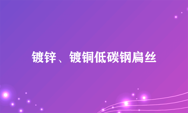 镀锌、镀铜低碳钢扁丝