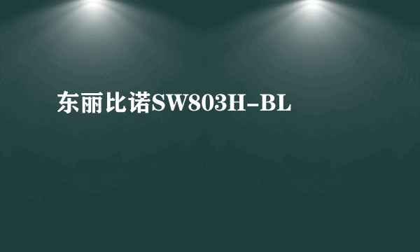 东丽比诺SW803H-BL