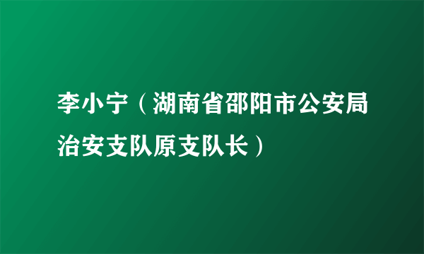 李小宁（湖南省邵阳市公安局治安支队原支队长）