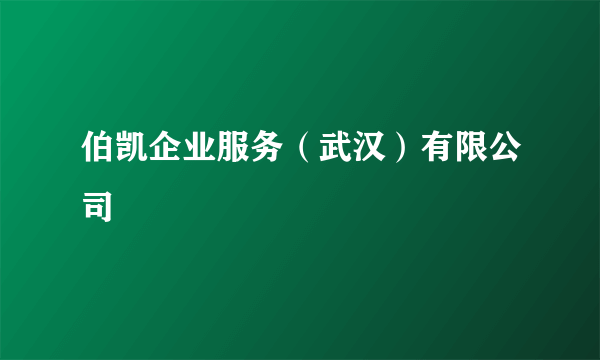 伯凯企业服务（武汉）有限公司