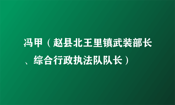 冯甲（赵县北王里镇武装部长、综合行政执法队队长）