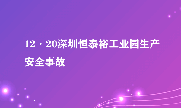 12·20深圳恒泰裕工业园生产安全事故