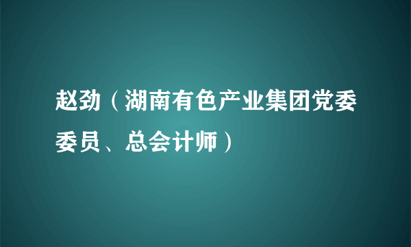 赵劲（湖南有色产业集团党委委员、总会计师）