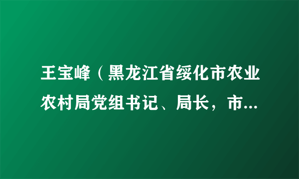 王宝峰（黑龙江省绥化市农业农村局党组书记、局长，市委农办主任）