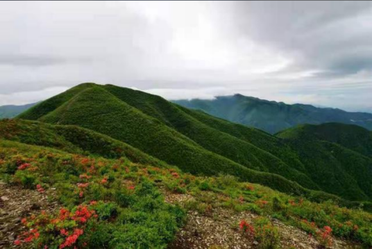 九龙峰（湖南娄底大熊山九龙峰）