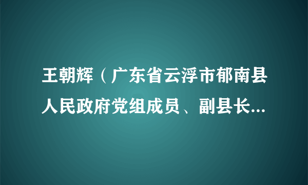 王朝辉（广东省云浮市郁南县人民政府党组成员、副县长，县公安局党委书记、局长）