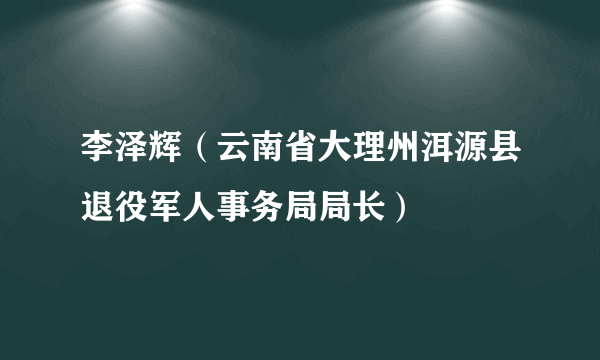 李泽辉（云南省大理州洱源县退役军人事务局局长）