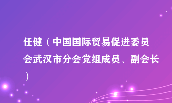 任健（中国国际贸易促进委员会武汉市分会党组成员、副会长）