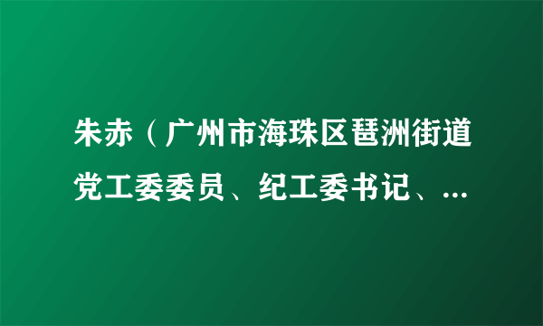 朱赤（广州市海珠区琶洲街道党工委委员、纪工委书记、区监委派出街道监察组组长）