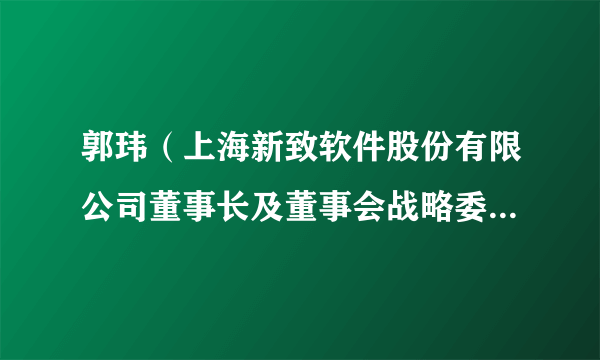 郭玮（上海新致软件股份有限公司董事长及董事会战略委员会主任委员）