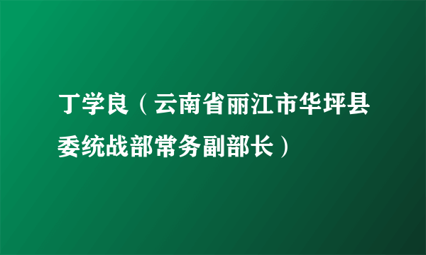 丁学良（云南省丽江市华坪县委统战部常务副部长）