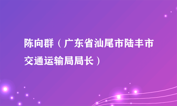 陈向群（广东省汕尾市陆丰市交通运输局局长）