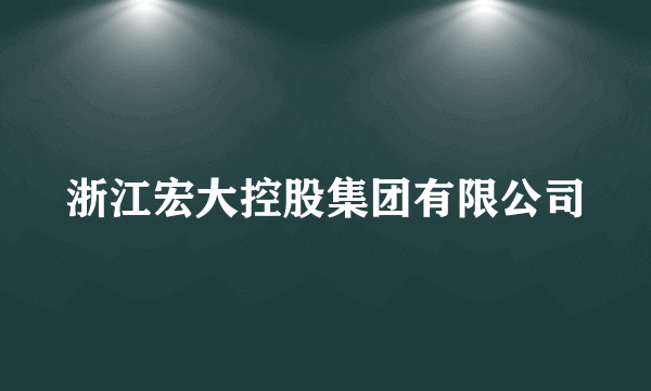 浙江宏大控股集团有限公司