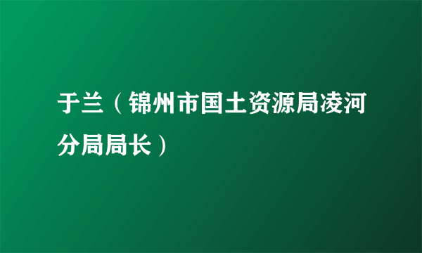 于兰（锦州市国土资源局凌河分局局长）